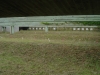 stand-50-2